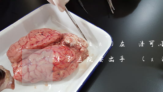 請問現(xiàn)在還清可以不去法院嗎(錢還清了法院要出手續(xù)嗎?)