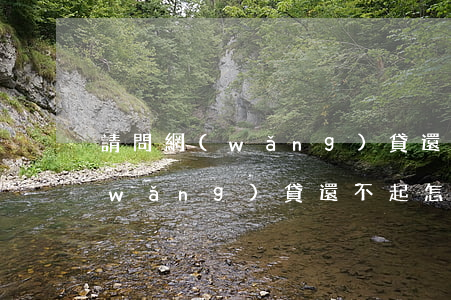 請問網(wǎng)貸還不起怎么辦（辦網(wǎng)貸還不起怎么辦）