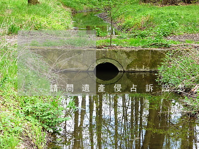 請問遺產侵占訴訟怎么做(遺產侵占罪案例)