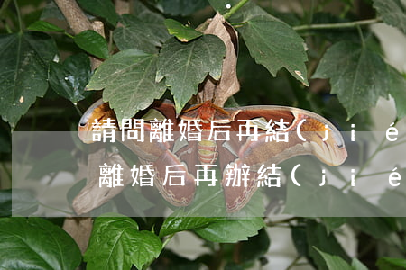 請問離婚后再結(jié)婚需要什么證件(離婚后再辦結(jié)婚證需要什么手續(xù))