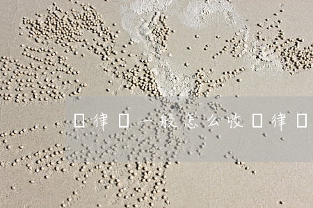 請律師一般怎么收費(律師費是怎么算的)