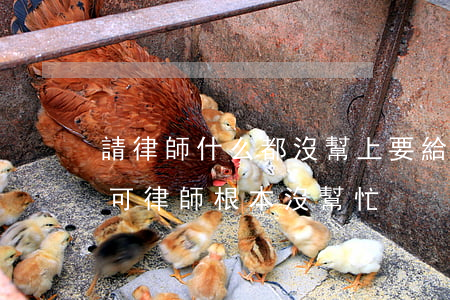 請律師什么都沒幫上要給錢嗎(花錢請了律師可律師根本沒幫忙)
