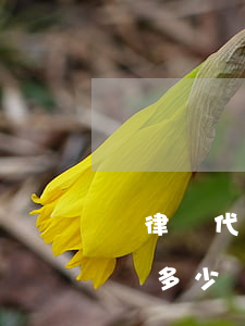 請律師代寫起訴狀大概多少錢(代寫民事起訴狀多少錢)