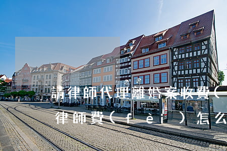 請律師代理離婚案收費(fèi)(離婚代理律師費(fèi)怎么收取)