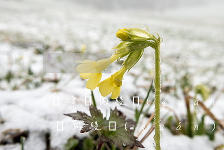 請律師做股權(quán)分配多少錢(請律師做股權(quán)分配多少錢)