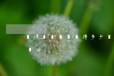 請律師凍結賬戶得多少錢(打官司凍結賬戶的條件)