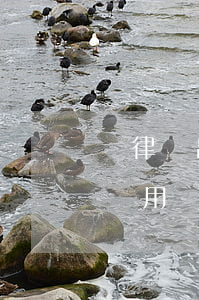請律師出庭一般費用多少錢(法院請律師多少費用)