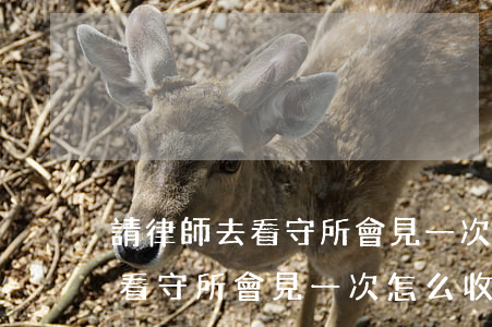 請律師去看守所會見一次怎么收費(請律師去看守所會見一次怎么收費)