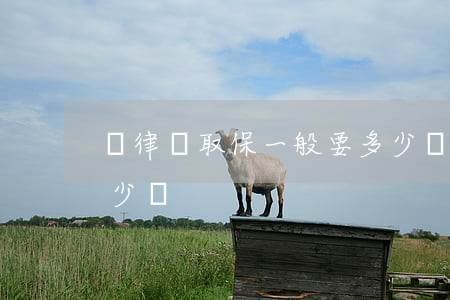 請律師取保一般要多少錢(請律師取保出來多少錢)