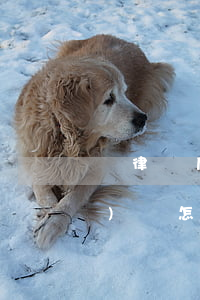 請律師后要怎么問問題(請律師應(yīng)該怎么請)