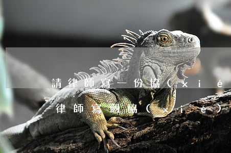 請律師寫一份協(xié)議要多少錢(找個律師寫個協(xié)議大概需要多少錢)