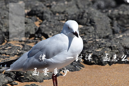 請律師寫一封律師函怎么收費(請律師寫律師函要多少錢)