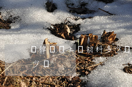 請律師寫上訴材料多少錢(請律師寫上訴狀多少錢)