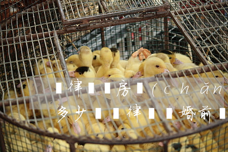 請律師寫房產(chǎn)協(xié)議多少錢(請律師寫婚前財產(chǎn)協(xié)議多少錢)