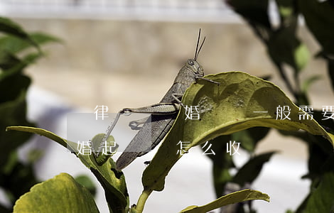請律師寫離婚訴狀一般需要多少錢(律師寫離婚起訴書怎么收費)