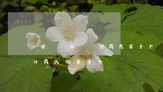 請律師幫忙勞動仲裁需要多少錢(請律師勞動仲裁大概要多少錢)