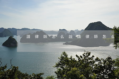 請律師怎么說(請律師怎么問律師情況)