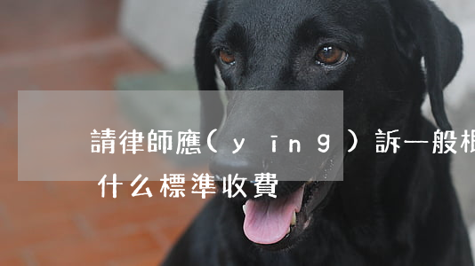 請律師應(yīng)訴一般根據(jù)什么標準收費