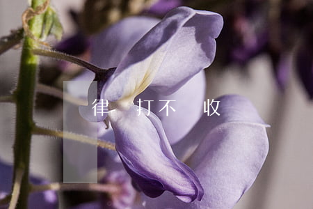 請律師打不贏收費嗎
