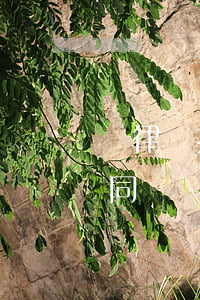 請律師打合同糾紛官司要多少錢(請律師打合同糾紛官司要多少錢)