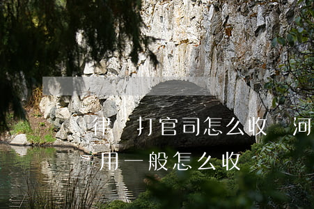 請律師打官司怎么收費河南省(河南離婚律師費用一般怎么收費)