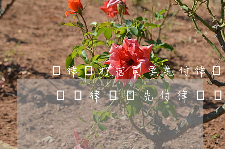 請律師打官司要先付律師費嗎?(打官司委托律師時,律師讓先付律師費對嗎)