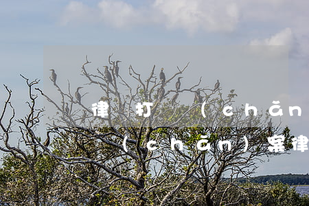 請律師打遺產(chǎn)官司費用怎么算(遺產(chǎn)案律師費用收取)