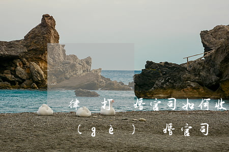 請律師打離婚官司如何收費(fèi)，打一個(gè)離婚官司請律師費(fèi)用大約是多少