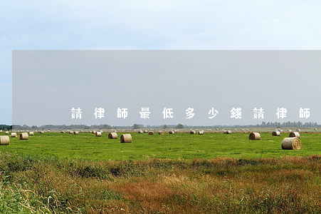 請律師最低多少錢(請律師要多少錢一次)