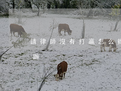請律師沒有打贏怎么辦(律師打不贏官司怎么辦)