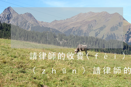 請律師的收費(fèi)標(biāo)準(zhǔn)(請律師的收費(fèi)標(biāo)準(zhǔn)!如果給物算折費(fèi)多少錢)