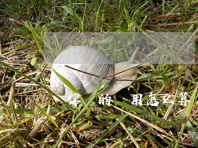 請律師的費用怎么算(請律師費用怎么出)