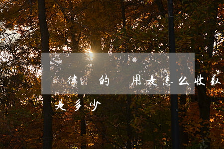 請律師的費用是怎么收取的(請律師費用一般是多少)