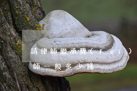 請律師繼承費(fèi)用怎么算(繼承請律師一般多少錢)
