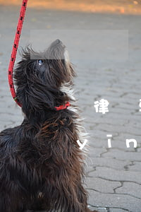 請律師要回債務(wù)(律師要回欠款應(yīng)怎么付費(fèi))