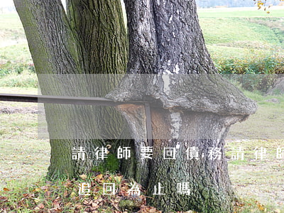 請律師要回債務(請律師打欠款官司是直到錢追回為止嗎)