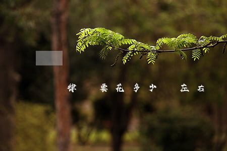 請律師要花多少錢左右(請律師花錢嗎)
