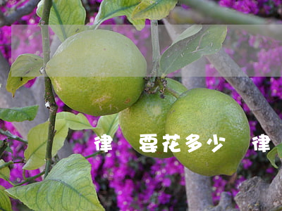 請律師要花多少錢(律師費要多少錢)