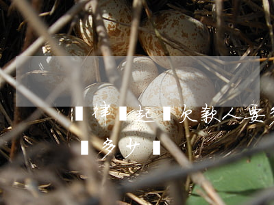 請律師起訴欠款人要多少費用(欠錢起訴請律師多少錢)