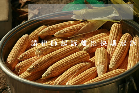請律師起訴離婚快嗎(起訴離婚要請律師嗎?)