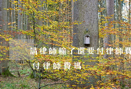 請律師輸了還要付律師費嗎(請律師輸了還要付律師費嗎)
