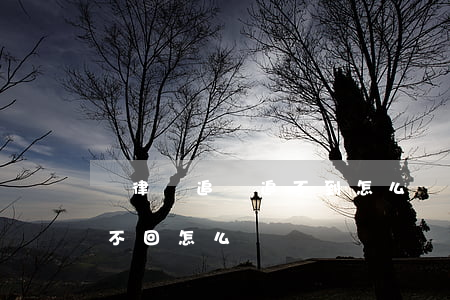 請律師追債追不到怎么辦(請律師要債如果要不回怎么辦?)