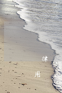 請律師開庭一般需要多少錢(委托律師開庭費用)