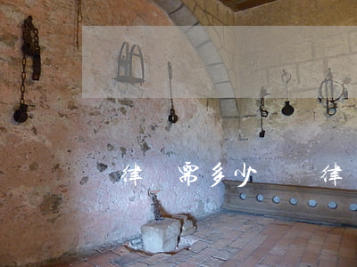 請律師需多少錢(請律師大概需要多少錢)