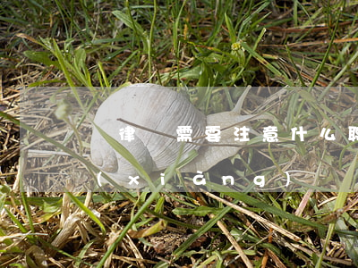 請律師需要注意什么(聘請律師注意哪些事項(xiàng))
