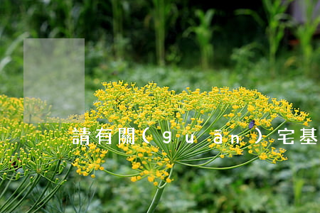 請有關(guān)宅基地的律師多少錢