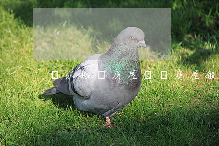 請求搬離房屋訴狀(房屋搬遷證明怎么寫)