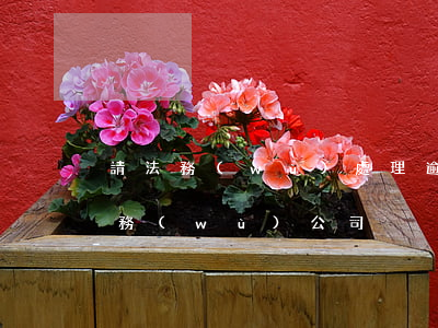 請法務(wù)處理逾期要多少錢-逾期法務(wù)公司