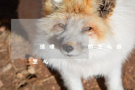 請法律顧問費用怎么做賬(公司的法律顧問費怎么記賬)