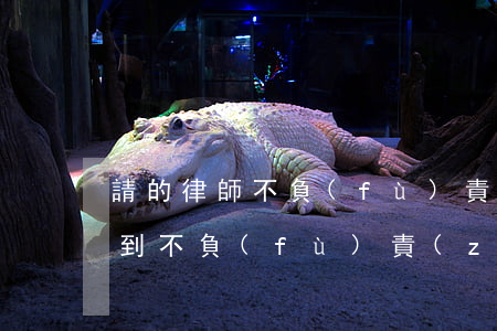 請的律師不負(fù)責(zé)怎么辦(遇到不負(fù)責(zé)的律師怎么辦)